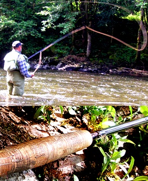 La pêche sur spinning par le débutant