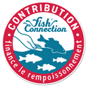 fish connection finance le rempoissonnement